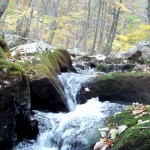 Songwriting In The Cascades, BIacksburg, Virginia