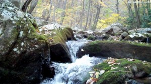 Songwriting In The Cascades, BIacksburg, Virginia